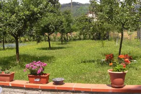 Albergo dei Tigli - Image 5