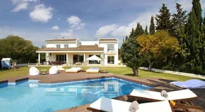 Modern Palmeras - Image 3