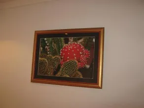 Apartment Vistanova - Image 3