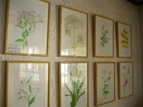 Gallery & Lodge Noichigo - Image 2