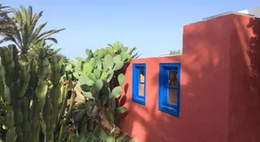 Casa Panama,in der Finca Mimosa - Image 5