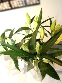 2 Bedroom City Centre Duplex Apartment - Image 4