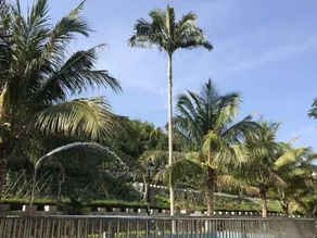 Yinhaiwan Hotel - Image 2