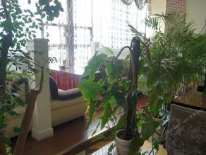 Junhao Sunshine Hotel - Image 5