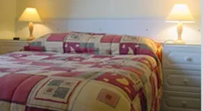 A Copper Beech House - Image 4