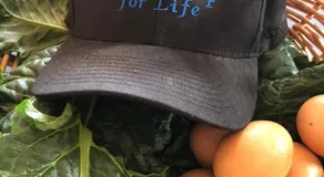 Timbertop for Life - Image 4