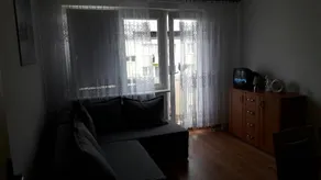 ŚPIEW MEW - Image 4