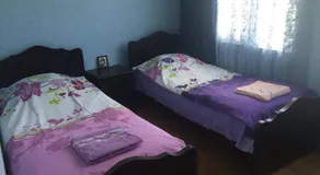 GOSHTELIANI FAMILY GUESTHOUSE - Image 2
