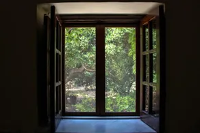 Ville Mirto - Image 4