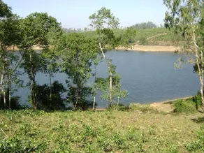Mount Hermon Resort - Image 5