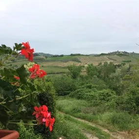 Casina Rosa - Image 4
