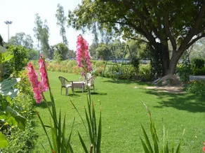 Heritage Colonial Homestay - Image 5
