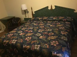 Apex One Motel - Image 5