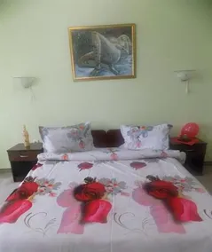 Hotel HANUL CU FLORI - Image 4