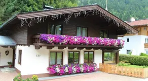 Saalach - Image 3