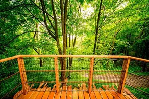 Treehouse pod Jestedem - Image 2
