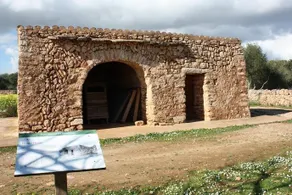 Finca Son Baro - Image 2
