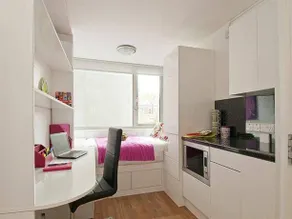 Mansion SW3 - Image 3