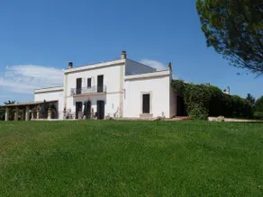 Tenuta Leone - Image 2
