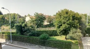 Coccinella - Image 3