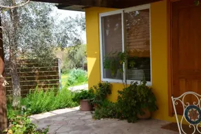 The OLive Tree - Image 2