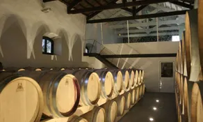 Hotel Bodega El Juncal - Image 5