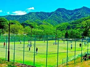 Yamanamiso - Image 2