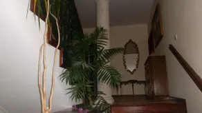 Casa Pinho - Image 3