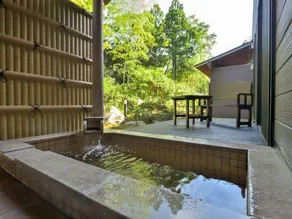 Uguisudani Onsen Takenoha - Image 3