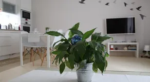 Apartment Hulina - Image 2
