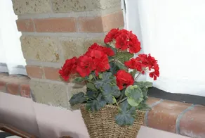 La Mantecata B & B - Image 2