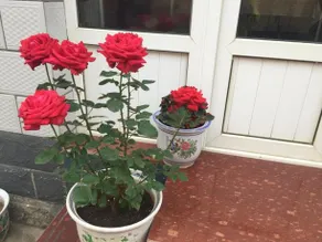 Wutaishan Caosijiegou Wuliang Farm Stay - Image 2