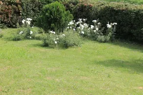B&B Al Glicine - Image 5