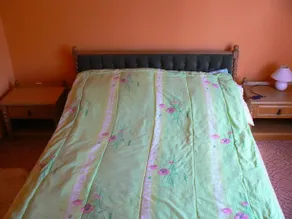 Lomb Apartman - Image 2