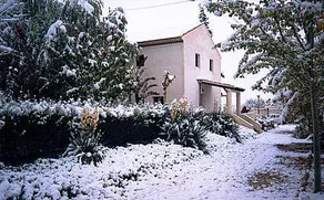 Cortijo Villa Rosa - Image 4