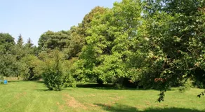 Le gite des Aulnettes - Image 3