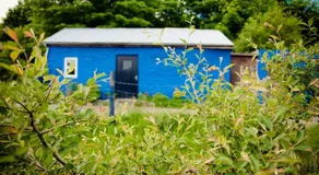 Y Fricsan/The Snowdon Inn - Image 5