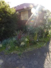 Willunga Cottage - Image 2