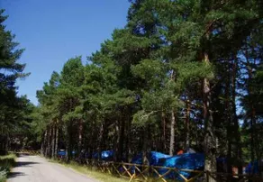 Camping Las Corralizas - Image 2
