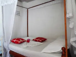 Bouganvila Guest - Image 4