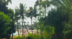 Aquamar - Image 4