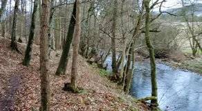 Hunter Lodge - Image 5