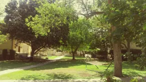 Guesthouse Shomrat - Image 5