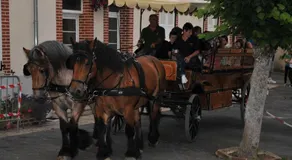 L'Ecurie des Ardennais - Image 3