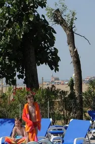 Campeggio Falconera - Image 4