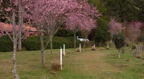 Recanto da Natureza - Image 4