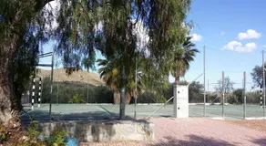 Terrera Roberto - Image 2