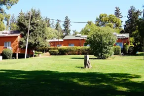 Hakuk Balev - Image 4