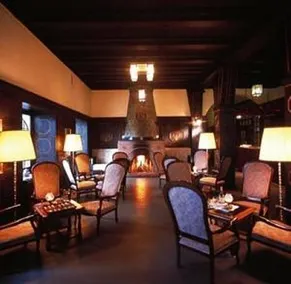 Hotel Bellevue Wengen - Image 5