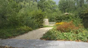 Doeselie - Image 2